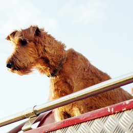 Rexx, der Feuerwehrhund Poster