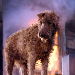 Rexx, der Feuerwehrhund / Firehouse Dog Poster