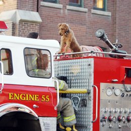 Rexx, der Feuerwehrhund / Firehouse Dog Poster