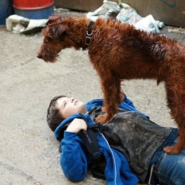 Rexx, der Feuerwehrhund / Firehouse Dog / Josh Hutcherson Poster