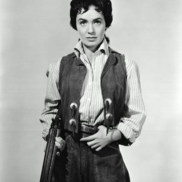 Schüsse in New Mexico / Susan Cabot Poster
