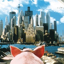 Schweinchen Babe in der großen Stadt Poster