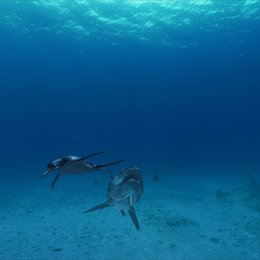 Sea Monsters 3D - Urgiganten der Meere Poster