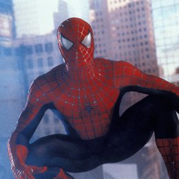 Spider-Man / Tobey Maguire Poster