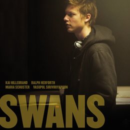 Swans Poster