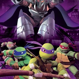 Teenage Mutant Ninja Turtles - Die Herausforderung Poster