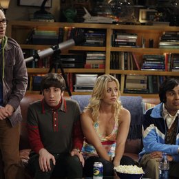 Big Bang Theory (Season 01, 17 Episoden), The Poster
