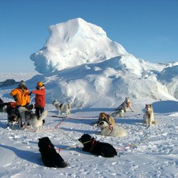 Top Gear - Das Polar Adventure Poster