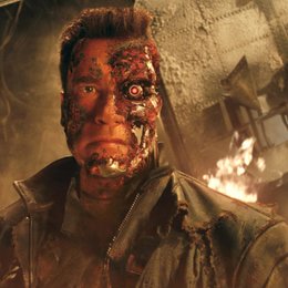 Terminator 3 - Rebellion der Maschinen / Arnold Schwarzenegger Poster
