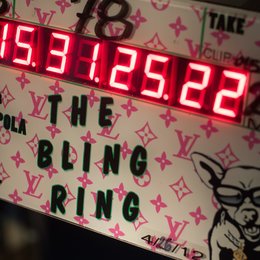 Bling Ring, The Poster