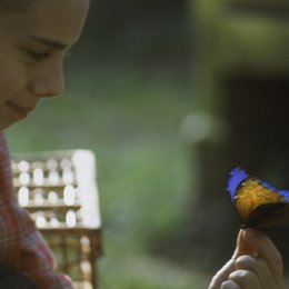 Geheimnis des blauen Schmetterlings, Das Poster