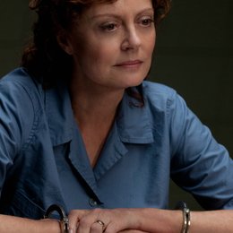 Company You Keep - Die Akte Grant, The / Susan Sarandon Poster