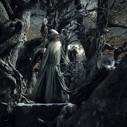 Hobbit: Smaugs Einöde, Der Poster