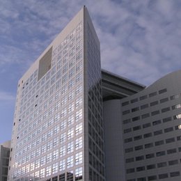 International Criminal Court, The / Court, The Poster