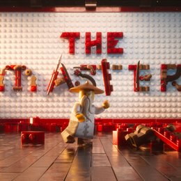 THE MASTER Poster