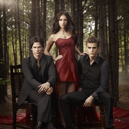 Vampire Diaries - Die komplette zweite Staffel, The Poster