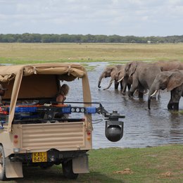 Unser Leben / Elefants - Elefanten / Amboseli National Park, Kenya Poster