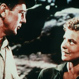 Wem die Stunde schlägt / Ingrid Bergman / Gary Cooper Poster