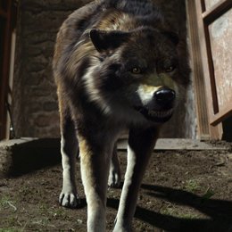 Wolfblood - Verwandlung bei Vollmond Poster