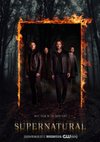 Poster Supernatural Staffel 1
