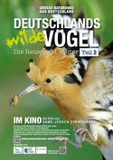 Deutschlands wilde Vögel - Teil 2 - Die Reise geht weiter