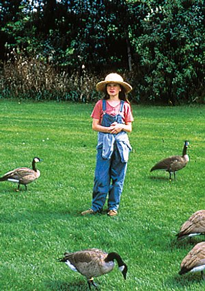 Amy und die Wildgänse Amy und die Wildgänse