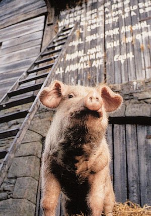 Animal Farm Film (1999) · Trailer · Kritik · KINO.de