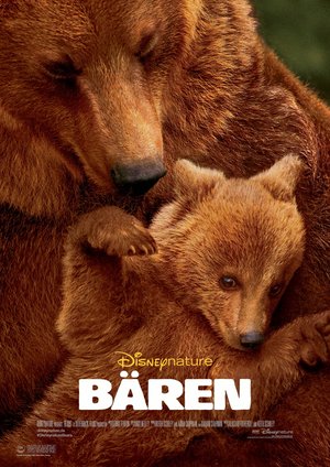 Bären Bären