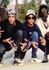 Poster Crips and Bloods