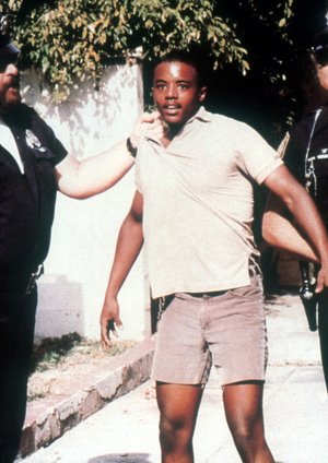 Die Miami Cops Die Miami Cops