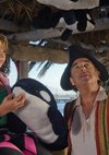 Poster Free Willy - Rettung aus der Piratenbucht
