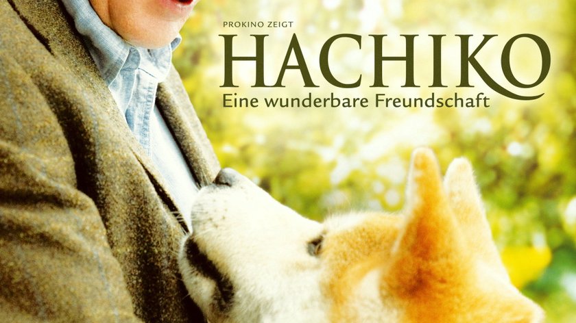 Fakten und Hintergründe zum Film "Hachiko - Eine wunderbare Freundschaft"