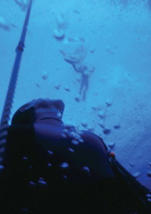 Im Rausch der Tiefe - The Big Blue Im Rausch der Tiefe - The Big Blue