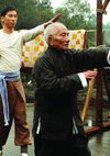 Poster Ip Man Zero