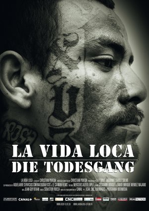 La Vida Loca La Vida Loca