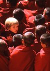 Poster Little Buddha