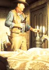 Poster Rio Lobo