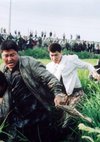 Poster Memories of Murder