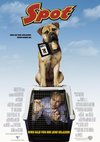 Poster Spot - Ein Hund auf Abwegen