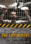 Poster The Experiment