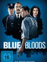 Blue Bloods - Die erste Season (6 Discs) Poster