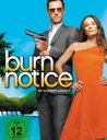 Burn Notice - Die komplette Season 2 (4 Discs) Poster