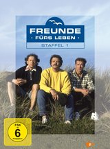 Freunde fürs Leben - Staffel 1 (4 DVDs) Poster