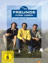 Freunde fürs Leben - Staffel 1 (4 DVDs) Poster