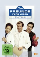 Freunde fürs Leben - Staffel 3 (3 Discs) Poster