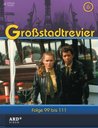 Großstadtrevier - Box 06, Folge 99 bis 111 (4 DVDs) Poster