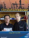 Großstadtrevier - Box 17, Folge 257 bis 272 (4 DVDs) Poster