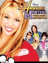 Hannah Montana - Teenager & Superstar Poster