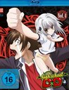 Highschool DXD - Vol. 4 Poster