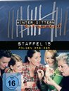 Hinter Gittern - Staffel 15 (6 Discs) Poster